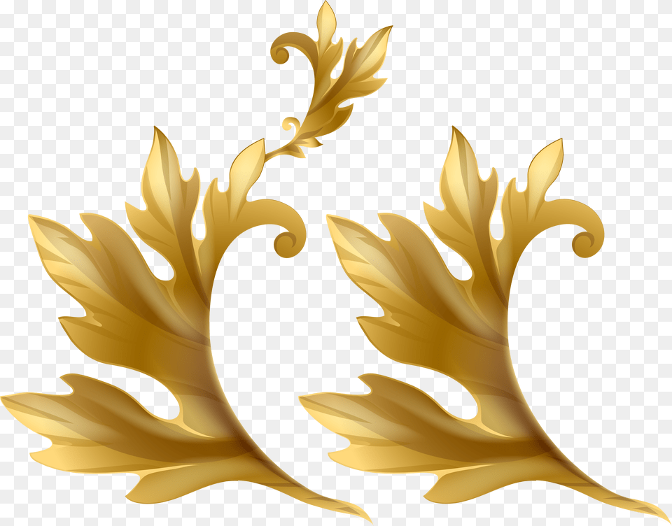 Gold Floral Design Png