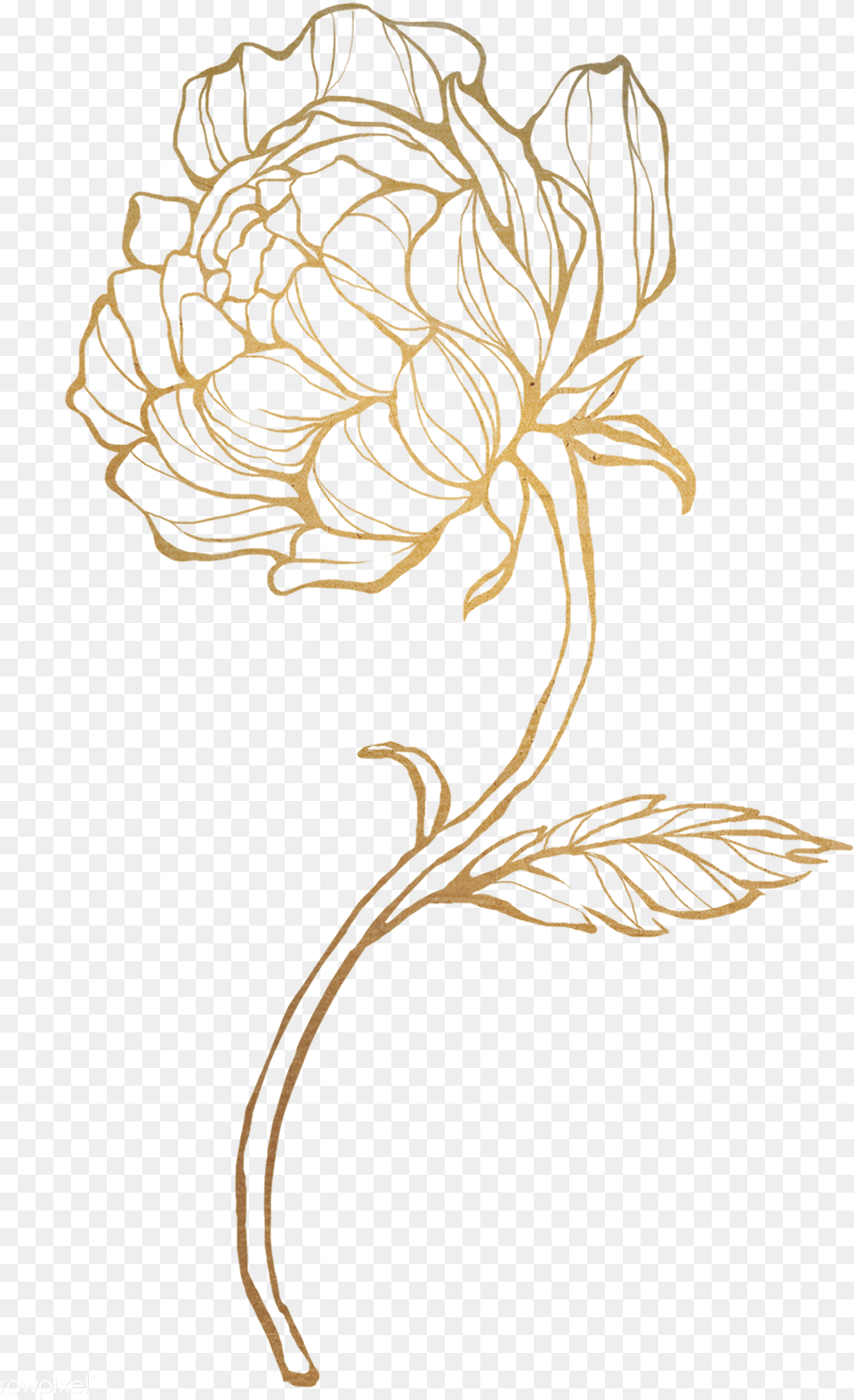 Gold Flower Outline Transparent Gold Flower, Pattern, Art, Leaf, Plant Free Png