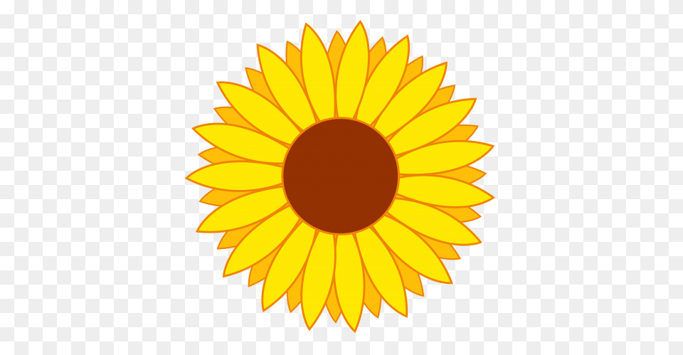 Gold Flower Vector Transparent, Daisy, Plant, Sunflower Png Image
