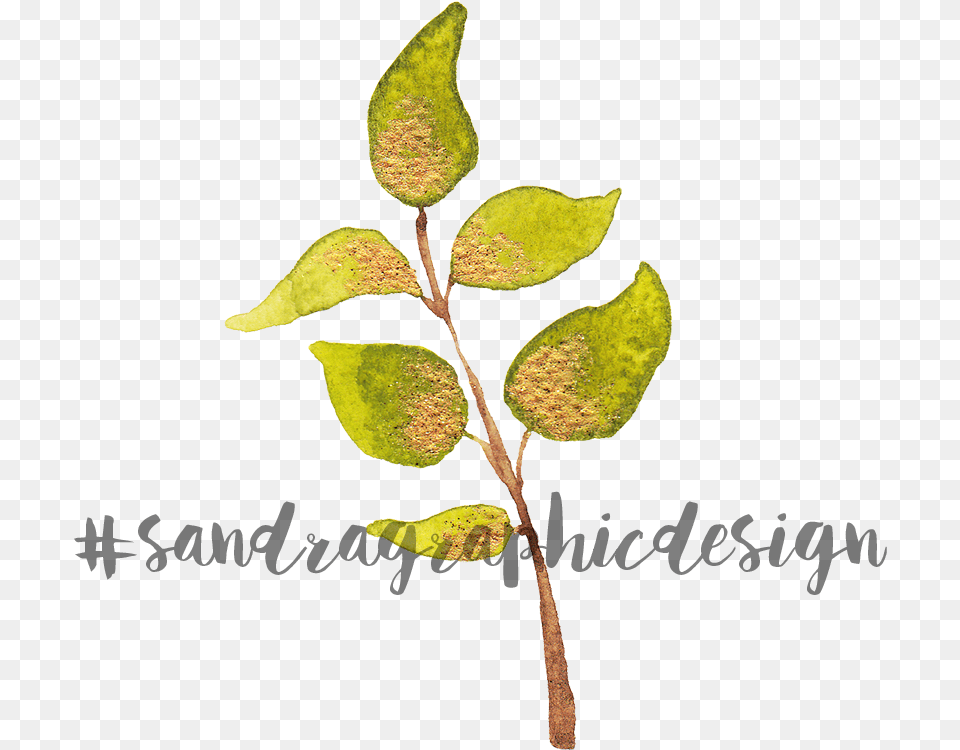 Gold Flowers Clip Art U2013 Sandraas Twig, Annonaceae, Leaf, Plant, Tree Free Png Download