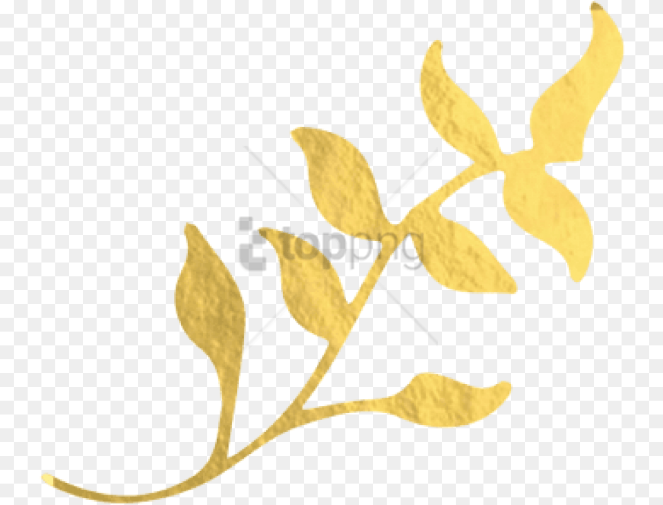 Gold Foil Leaf Image With Transparent Gold Leaf, Plant, Art, Floral Design, Graphics Free Png Download