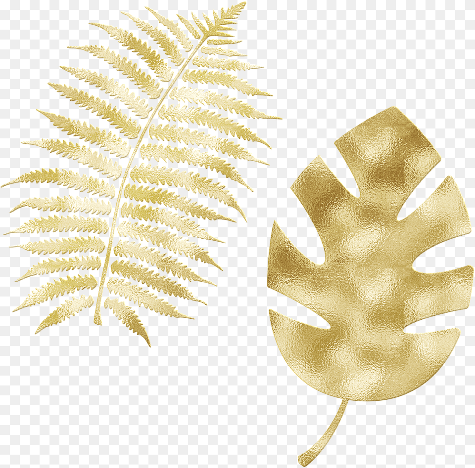 Gold Foil Leaves Glitter Free On Pixabay Fern, Plant, Leaf, Face, Head Png