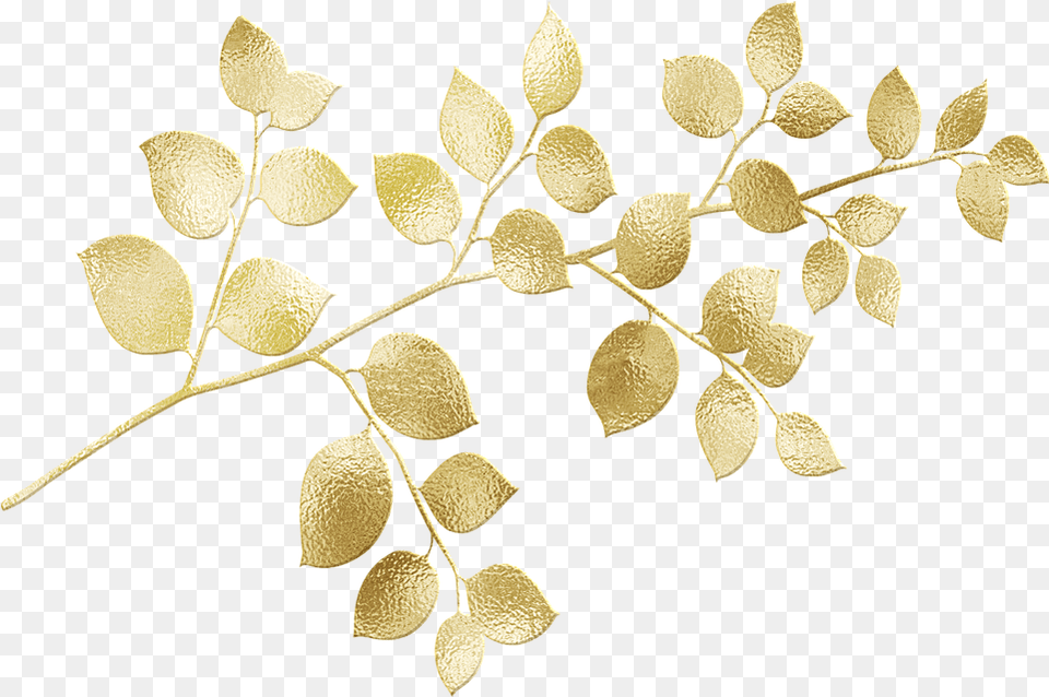 Gold Foil Leaves Glitter Image On Pixabay Maidenhair Tree, Leaf, Plant, Accessories, Annonaceae Free Png Download