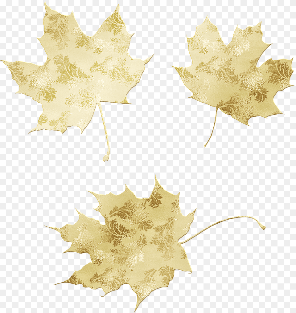 Gold Foil Leaves Glitter Lovely, Leaf, Plant, Maple Leaf, Tree Free Png