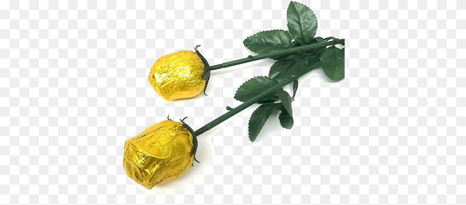 Gold Foiled Belgian Chocolate Color Splash Roses For Belgian Chocolate, Leaf, Plant, Flower, Food Free Png