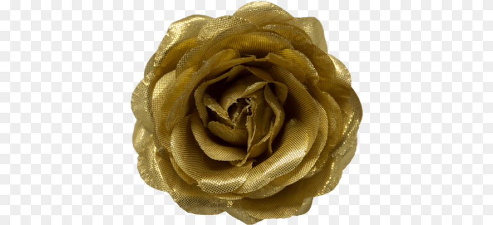 Gold Garden Roses, Accessories, Animal, Flower, Plant Free Transparent Png