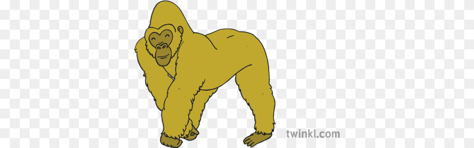 Gold Gorilla Illustration Twinkl Black And White Showing Bad Behaviour, Animal, Ape, Mammal, Wildlife Png