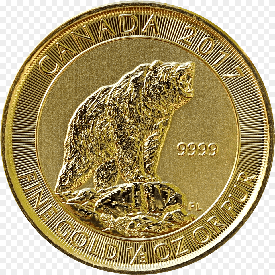 Gold Grizzly Rev Coin, Animal, Bird, Money Free Png