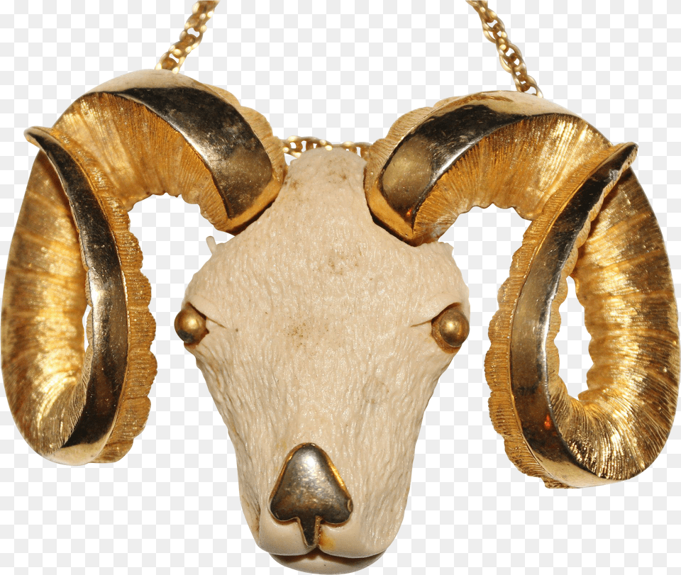 Gold Horns, Bronze, Accessories, Animal, Earring Free Png Download