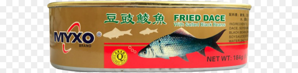 Gold Label, Animal, Fish, Sea Life, Aluminium Free Png