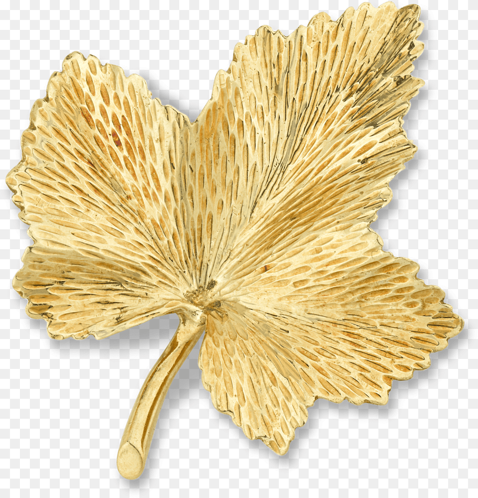 Gold Leaf Brooch Gold, Fungus, Plant, Accessories, Jewelry Png