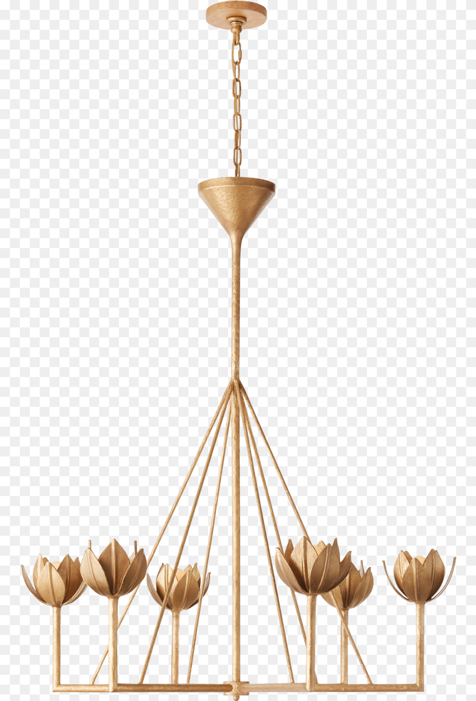 Gold Leaf Chandelier, Lamp Png Image