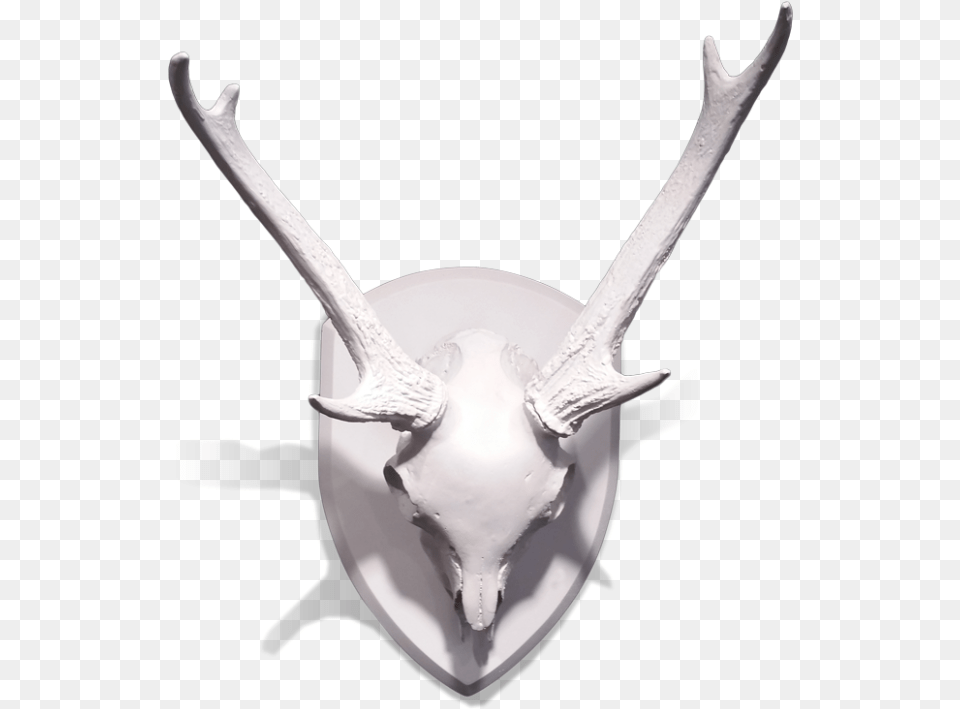 Gold Leaf Design Group Mule Deer Skull With Antlers Deer, Antler, Person Png Image