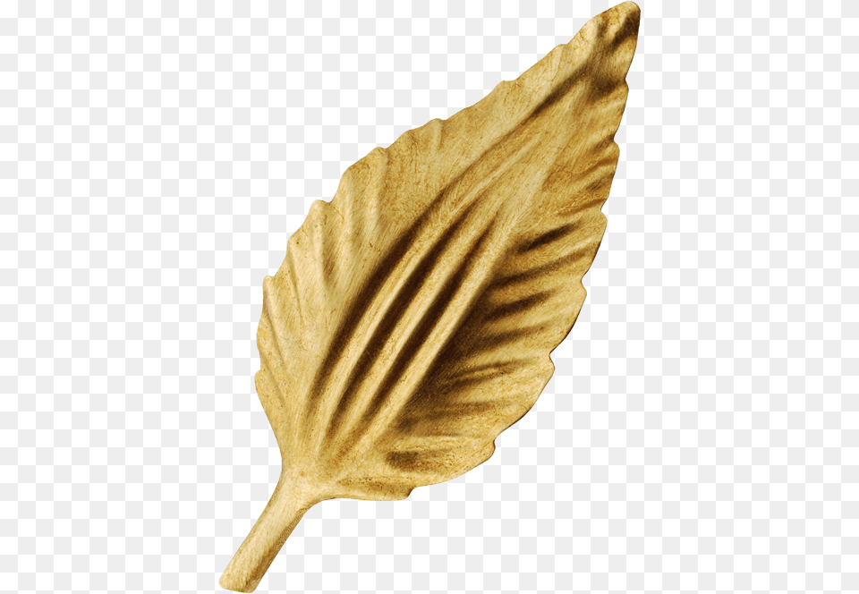 Gold Leaf Fish, Plant, Weapon Free Png Download