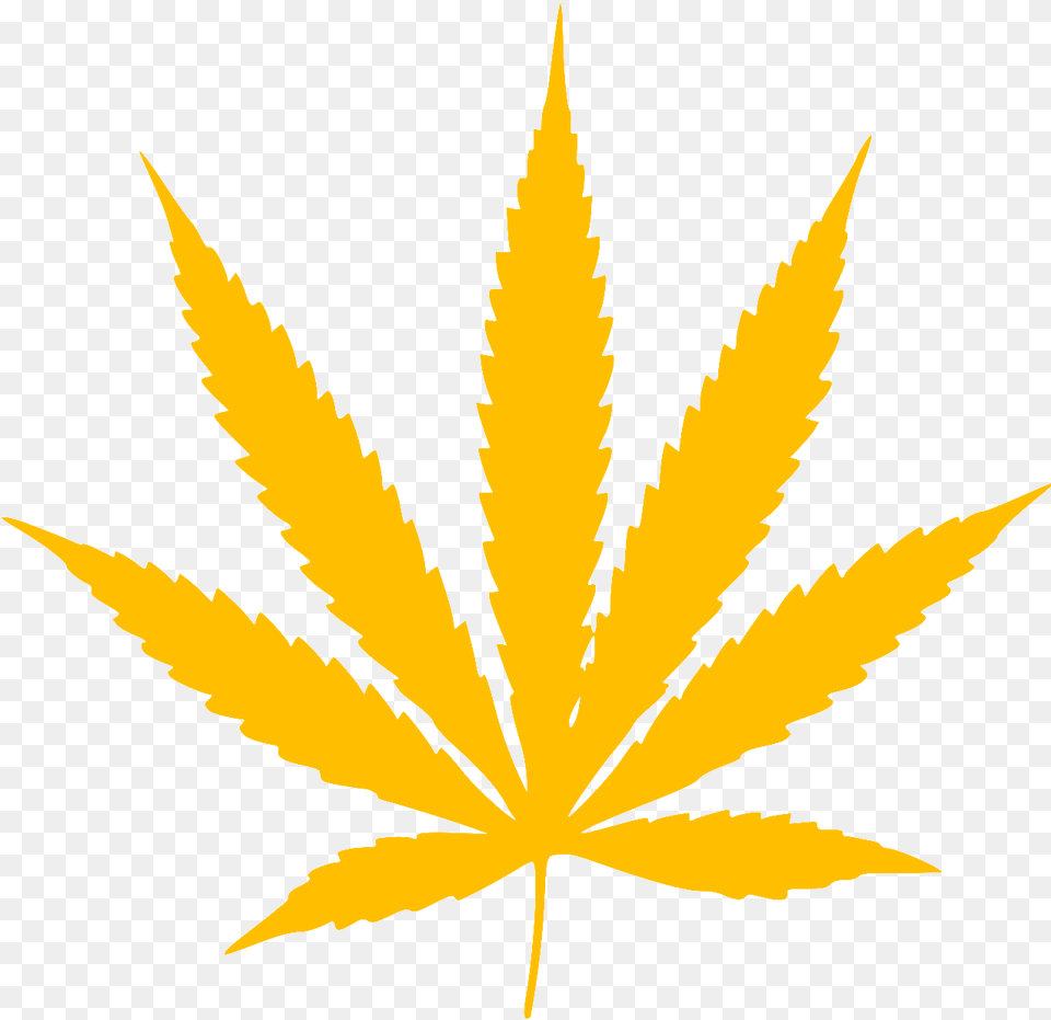 Gold Leaf Mlg Weed, Plant Png