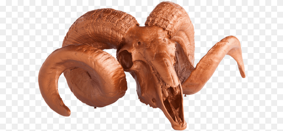 Gold Leaf Resin Ram Skull With Horns On Medallion Baked Goods Free Png