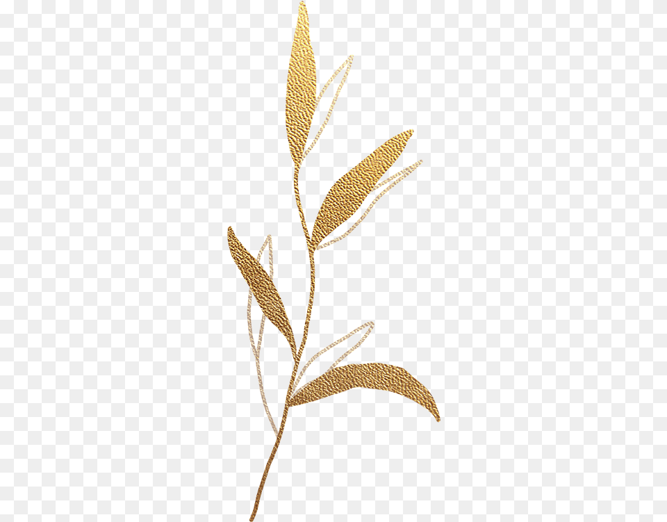 Gold Leaf Split Background Old Rectory Placement Needlework, Grass, Plant, Pattern, Art Png Image