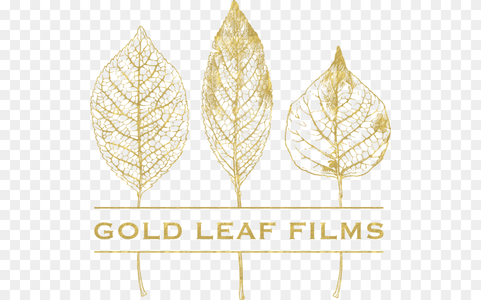 Gold Leaf Transparent Golden Leaves, Plant, Animal, Bird Free Png Download