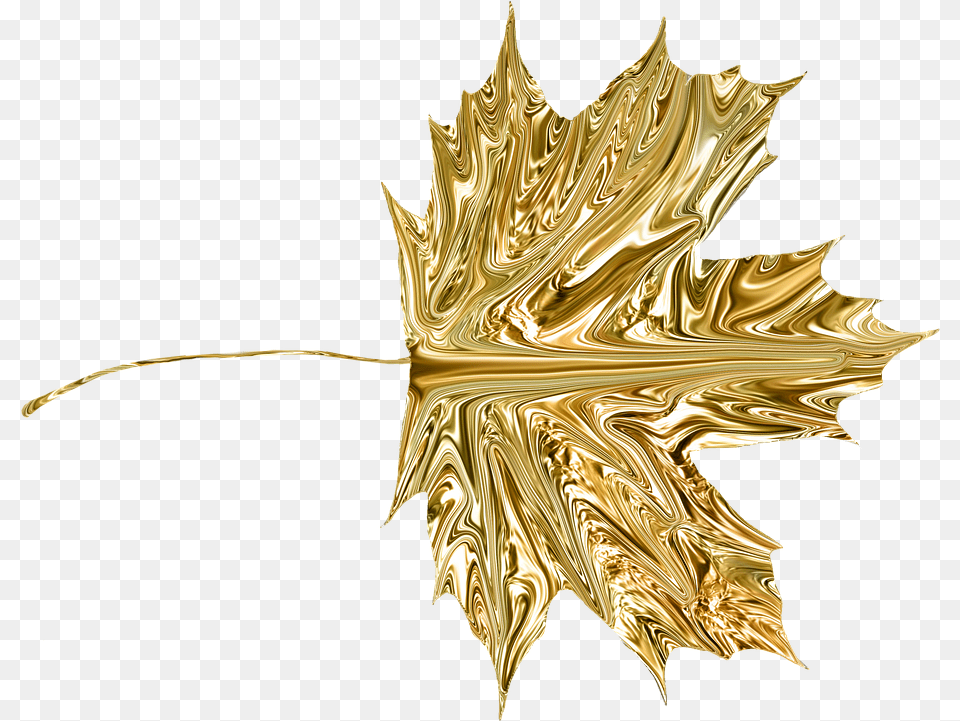 Gold Leaves 1 Image Gold Maple Leaf Transparent, Plant, Tree, Maple Leaf, Accessories Free Png