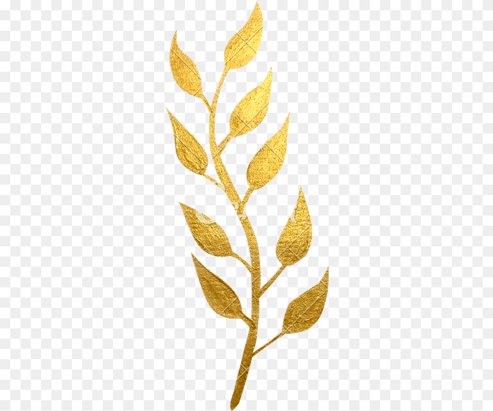 Gold Leaves Transparent Clipart Decorative Gold Leaves, Leaf, Plant, Treasure, Astragalus Png Image