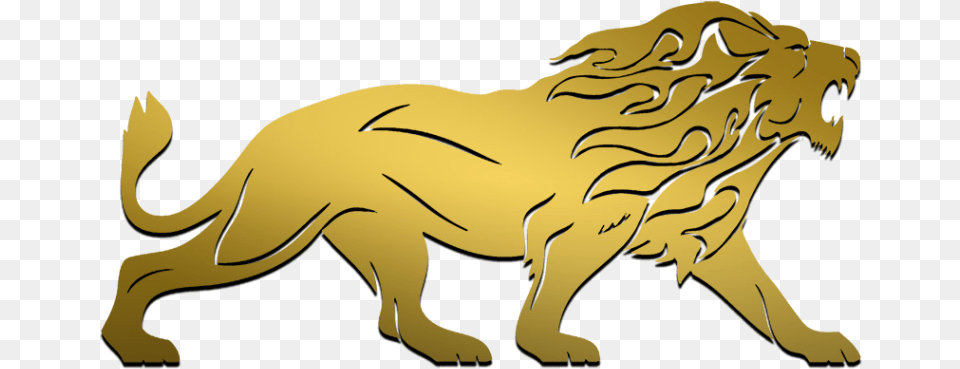 Gold Lion Logo Vector, Animal, Mammal, Wildlife, Baby Free Transparent Png