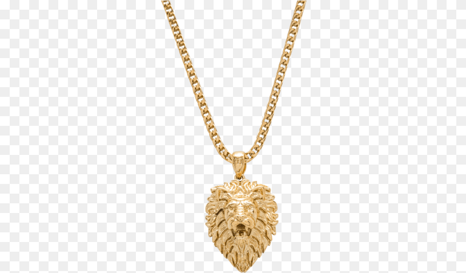 Gold Lion Necklace, Accessories, Jewelry, Pendant, Smoke Pipe Free Png