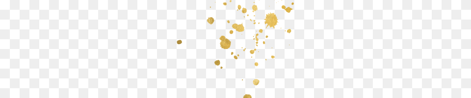 Gold Lol Image, Stain, Paper, Person Free Transparent Png