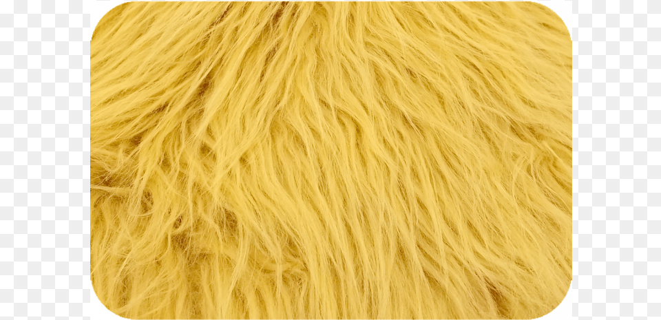 Gold Luxury Shag Faux Fur Limited Availability Limited Availability, Animal, Bear, Home Decor, Mammal Free Png Download