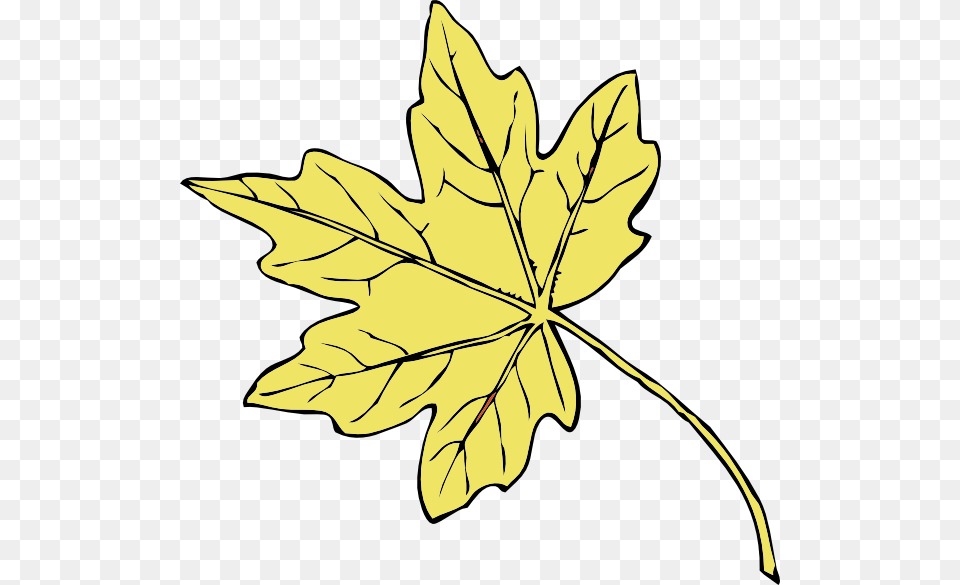 Gold Maple Leaf Clip Art, Maple Leaf, Plant, Tree Free Png Download