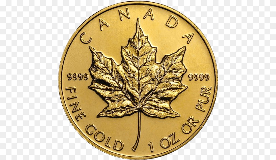 Gold Maple Leaf Coin Gold Canadian Maple Leaf, Plant, Accessories, Jewelry, Locket Png Image