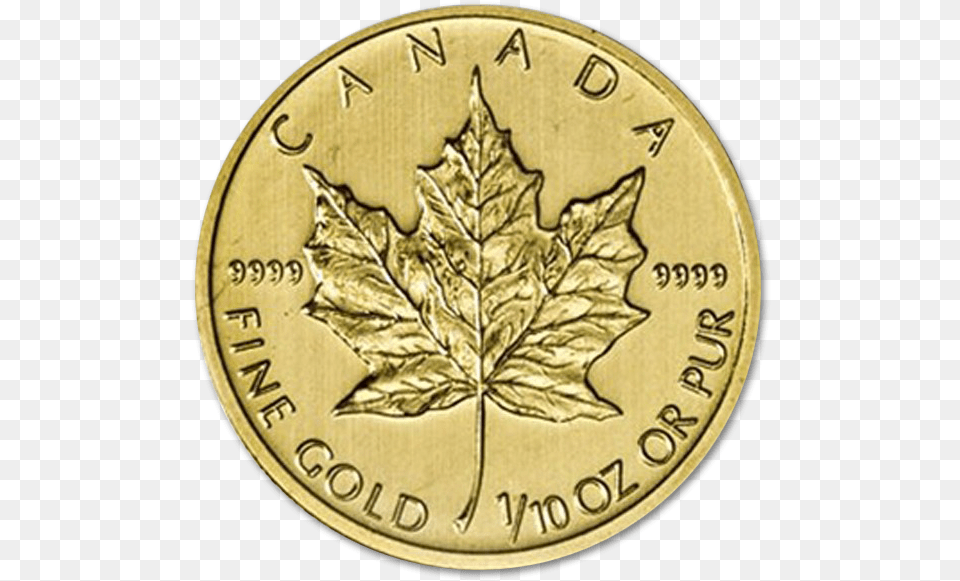 Gold Maple Leaf Coin Solid, Plant, Money Png Image