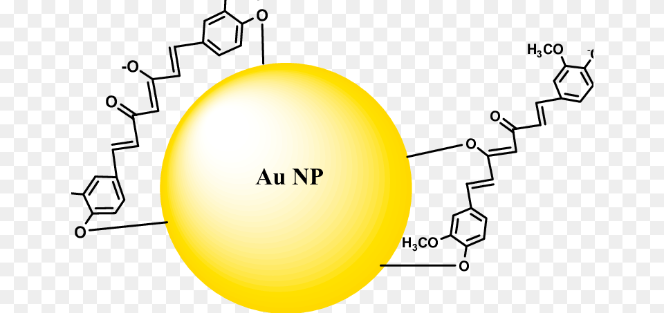 Gold Nanoparticles Capping By Curcumin Molecules Curcumin Gold Nanoparticles, Sphere, Nature, Outdoors, Diagram Free Png Download