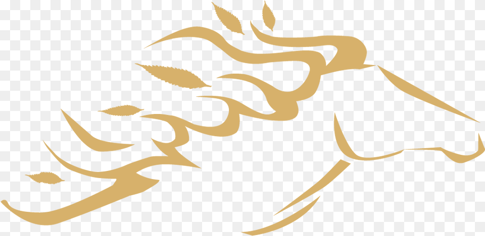 Gold New Frontier, Fire, Flame, Electronics, Hardware Png Image
