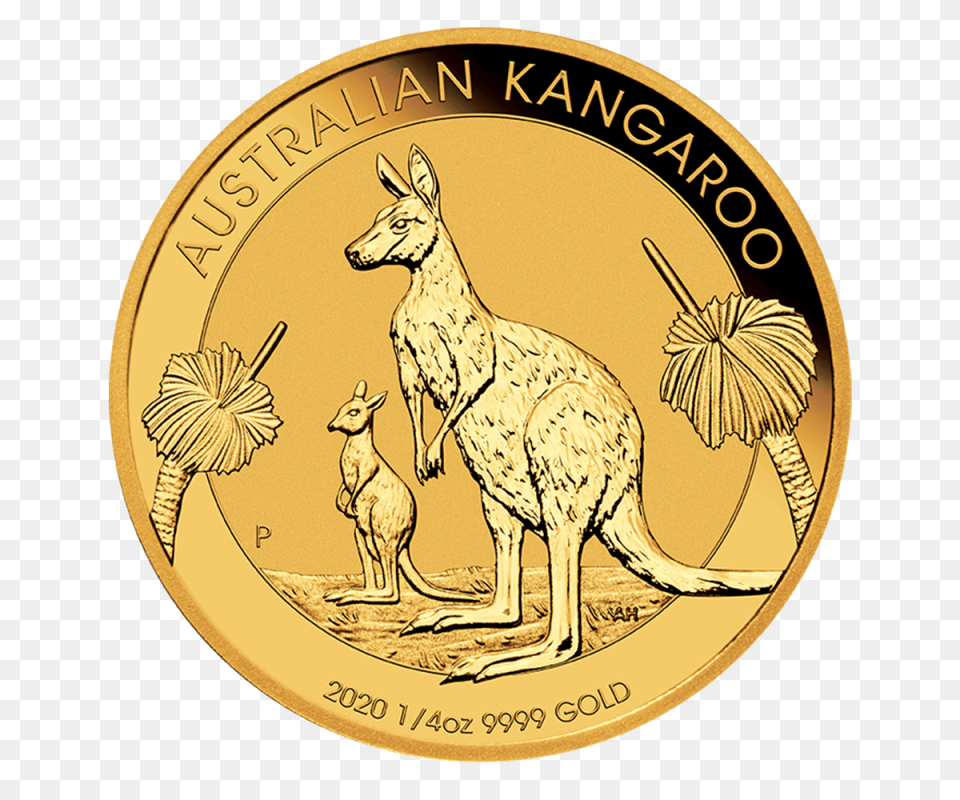 Gold Nugget Kangaroo Gold Bullion Coins Australia, Animal, Mammal, Coin, Money Free Png