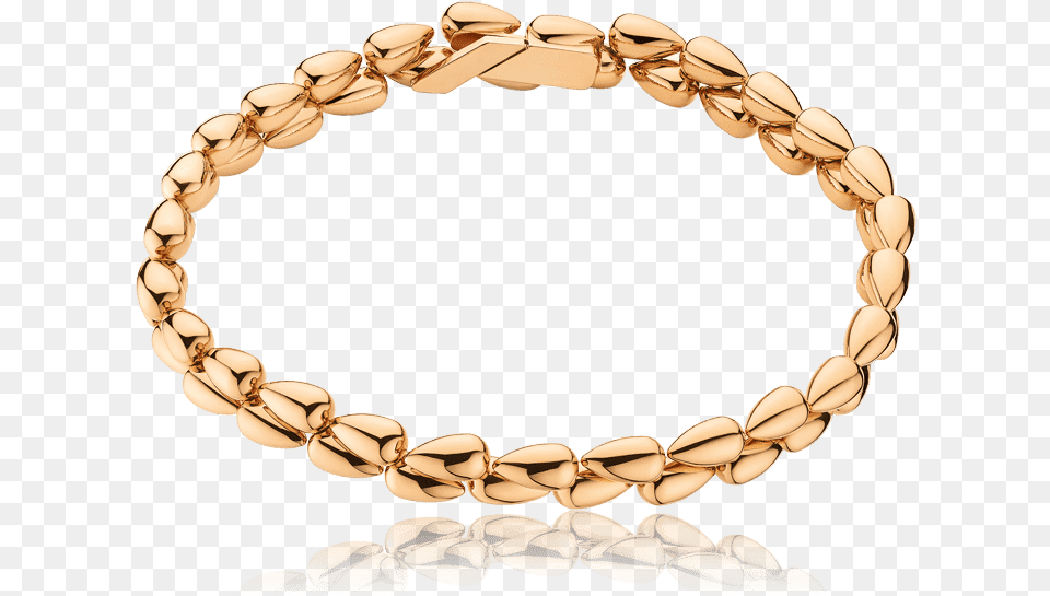 Gold Omega Bracelet, Accessories, Jewelry, Necklace Free Transparent Png