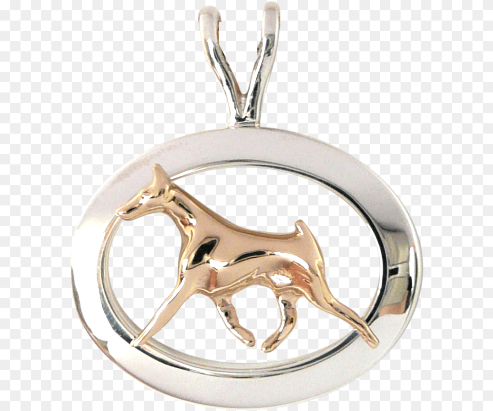 Gold Or Sterling Silver Doberman Pinscher In Glossy Oval Pendant Doberman Jewelry, Accessories, Smoke Pipe, Animal, Canine Free Png Download