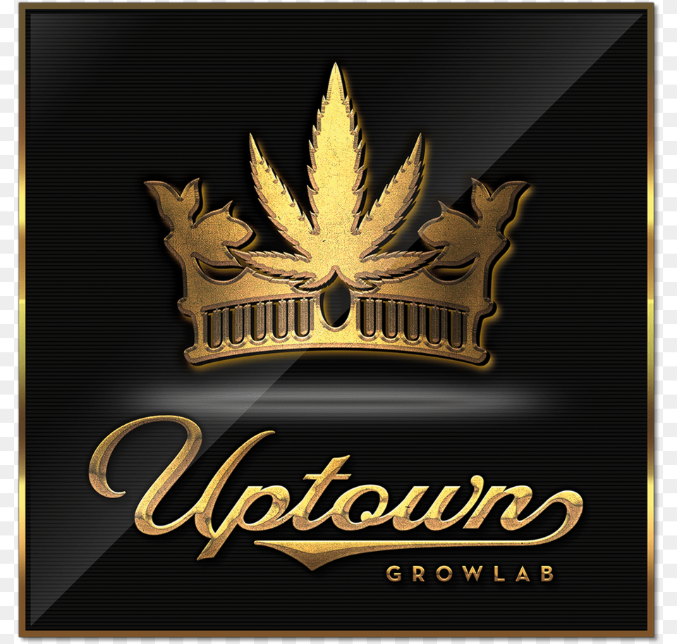 Gold Overlay, Emblem, Logo, Symbol, Badge Free Png