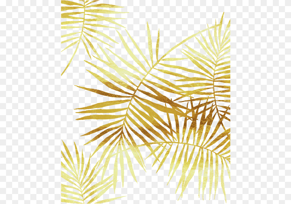 Gold Palm Leaves Golden Palm Leaves, Fern, Plant, Home Decor, Pattern Free Transparent Png