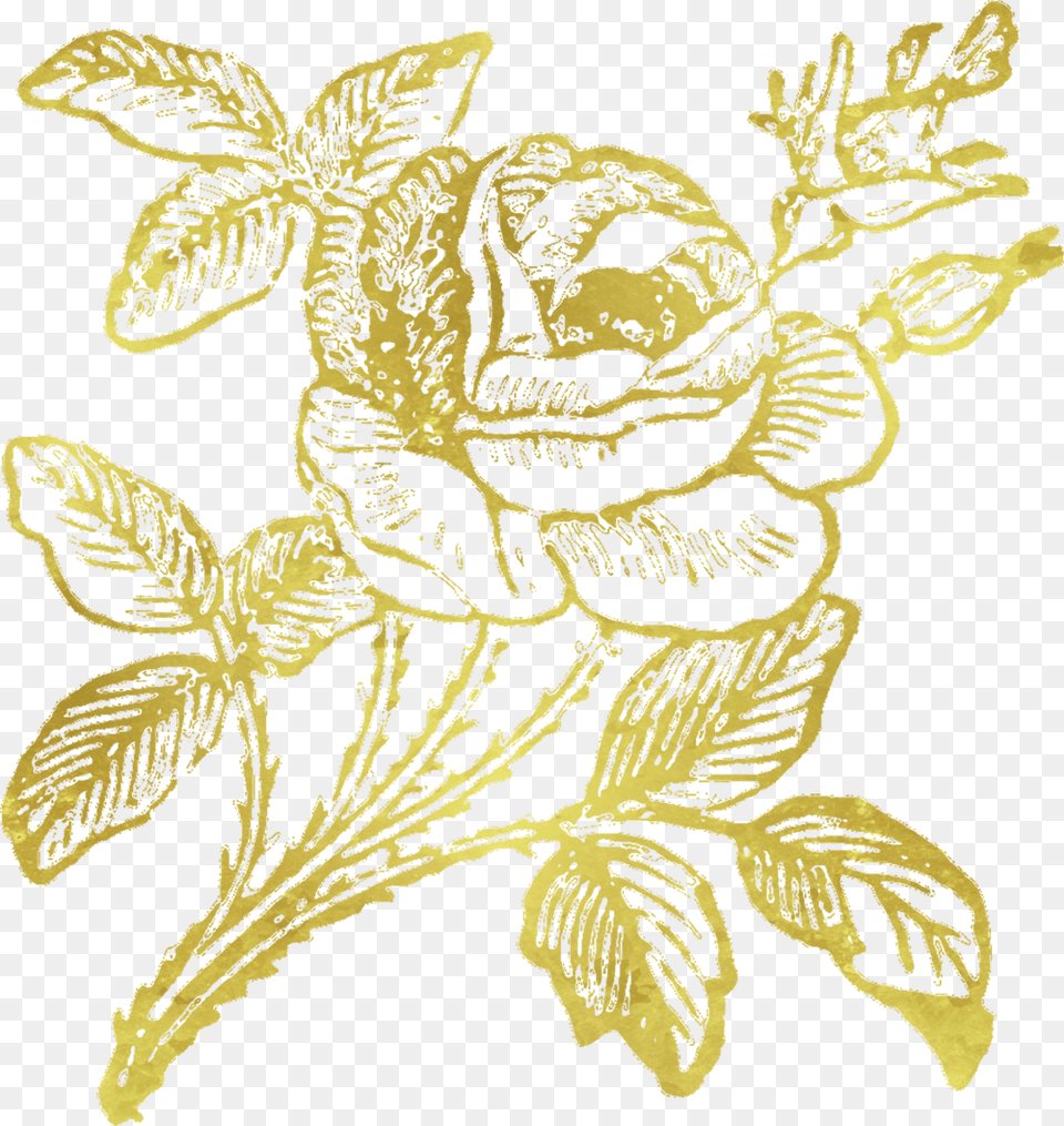 Gold Rose, Leaf, Plant, Pattern, Animal Free Png