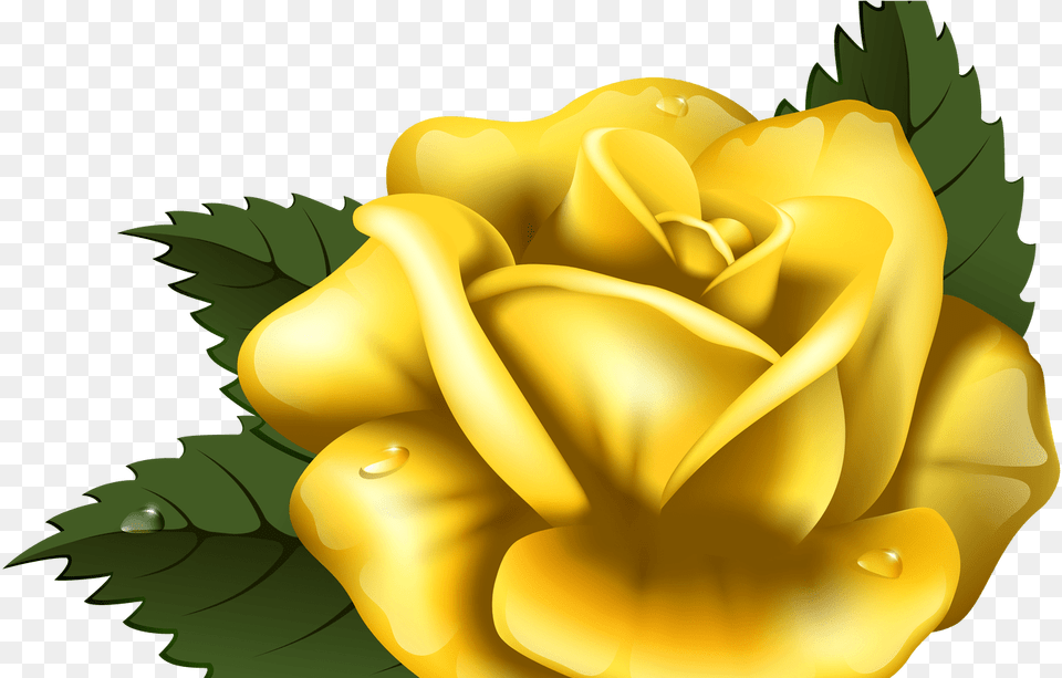 Gold Rose Clipart Yellow Flower Clipart, Plant, Petal Png Image