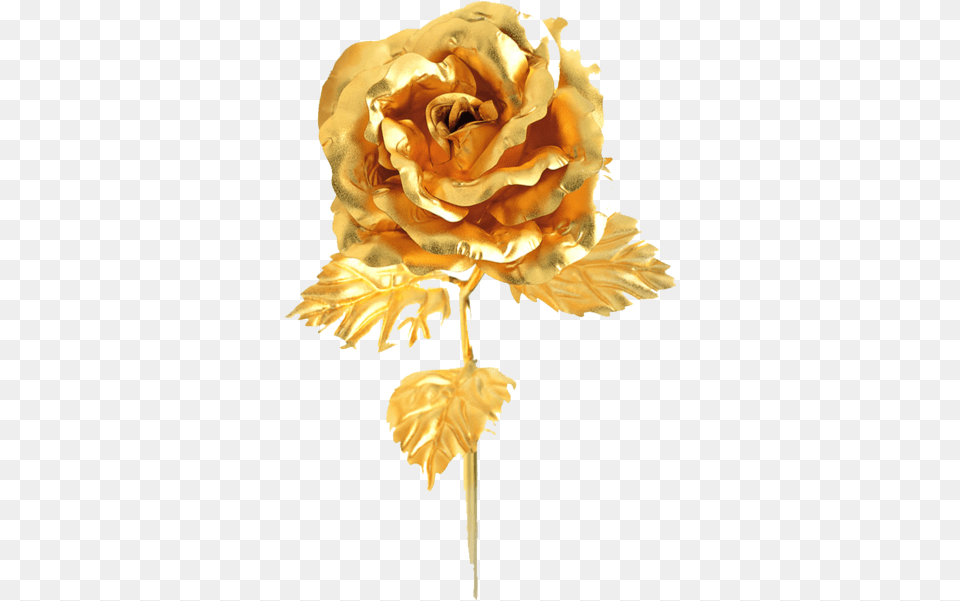 Gold Rose Psd Official Psds Lovely, Flower, Plant, Petal, Wedding Png Image