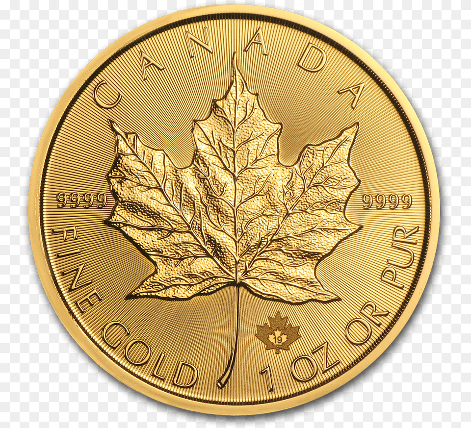 Gold Silver 1 Oz Gold Maple Leaf Coin, Plant Png Image