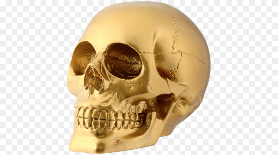 Gold Skull, Head, Person Free Png Download