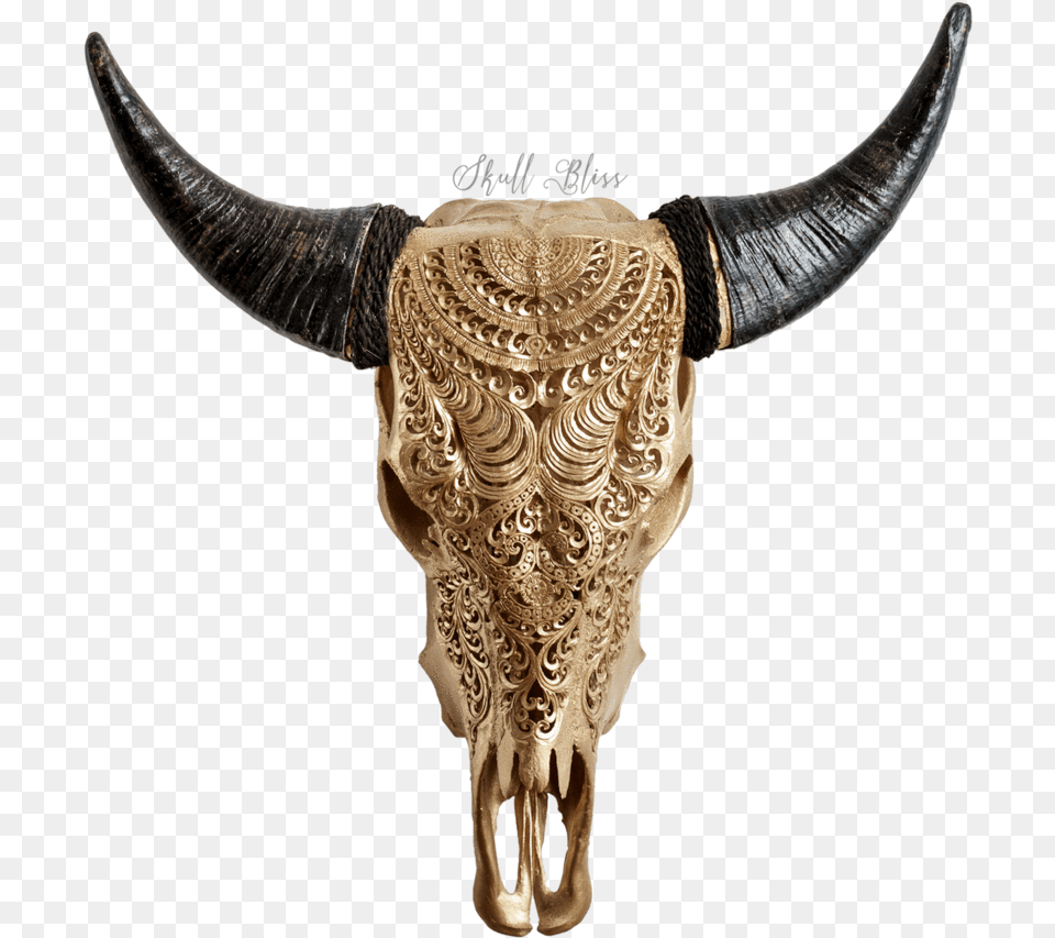 Gold Skull, Animal, Bull, Mammal, Cattle Png