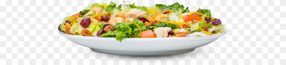 Gold Star Harvest Chicken Salad, Food, Lunch, Meal, Food Presentation Free Png