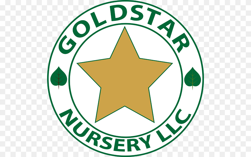 Gold Star Nursery, Logo, Symbol, Star Symbol Png