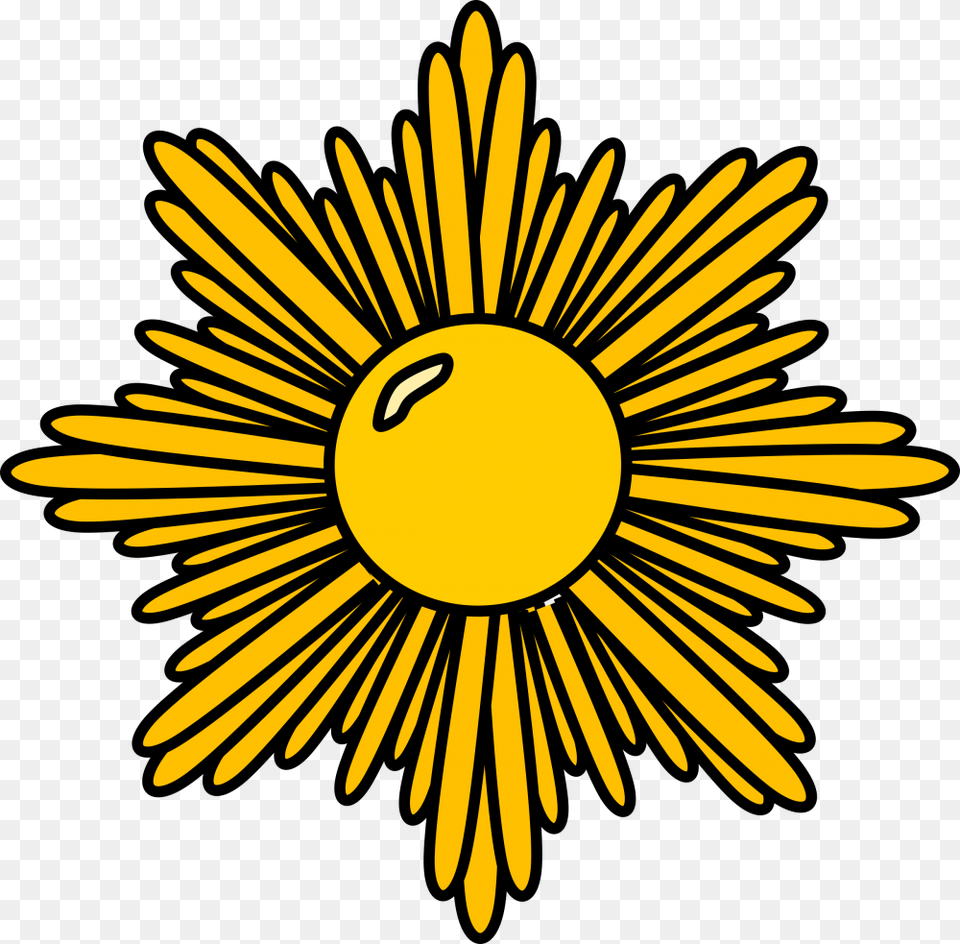 Gold Starburst Daisy, Flower, Plant, Petal Png Image