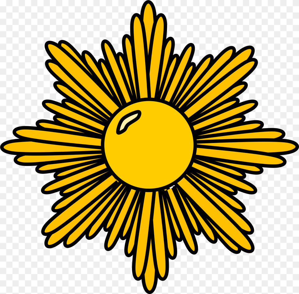 Gold Starburst Image Girl Scout Gold Award Clip Art, Daisy, Flower, Plant, Petal Free Transparent Png