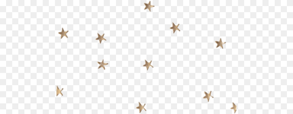 Gold Stars, Star Symbol, Symbol, Animal, Bird Free Png Download