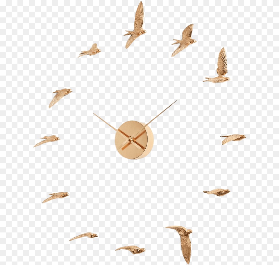 Gold Swallow Clock Clock, Animal, Bird, Flying Png Image